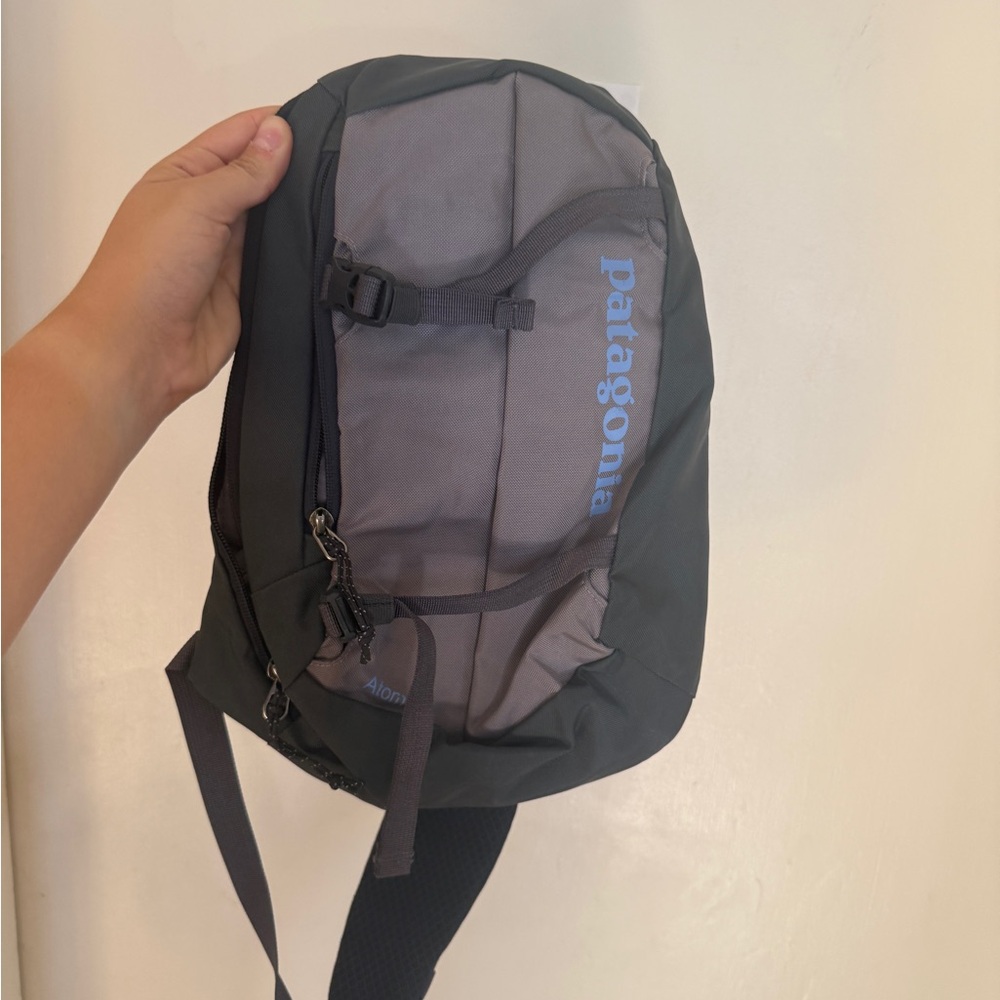 Patagonia purple and gray Backpack